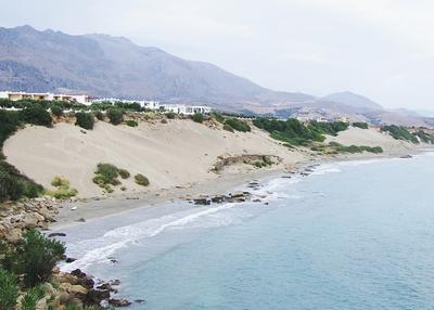 Large photo of Orthi Ammos