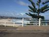 Thumbnail sized photo of Bondi Beach