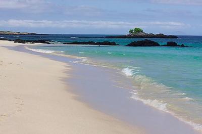 Large photo of Playa las Bachas