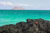 Thumbnail sized photo of Playa las Bachas